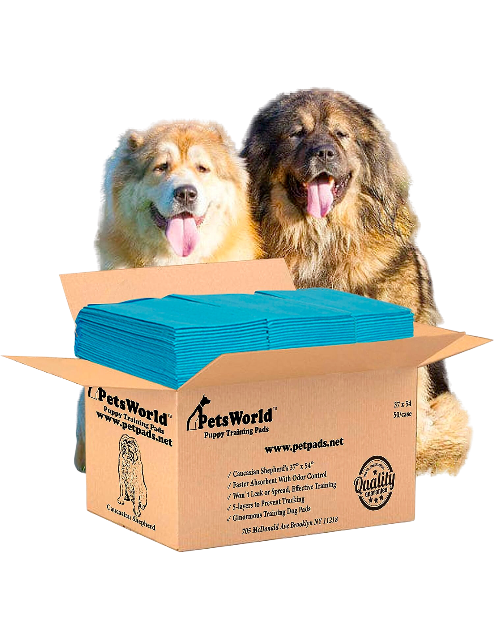 Discount puppy shop pads