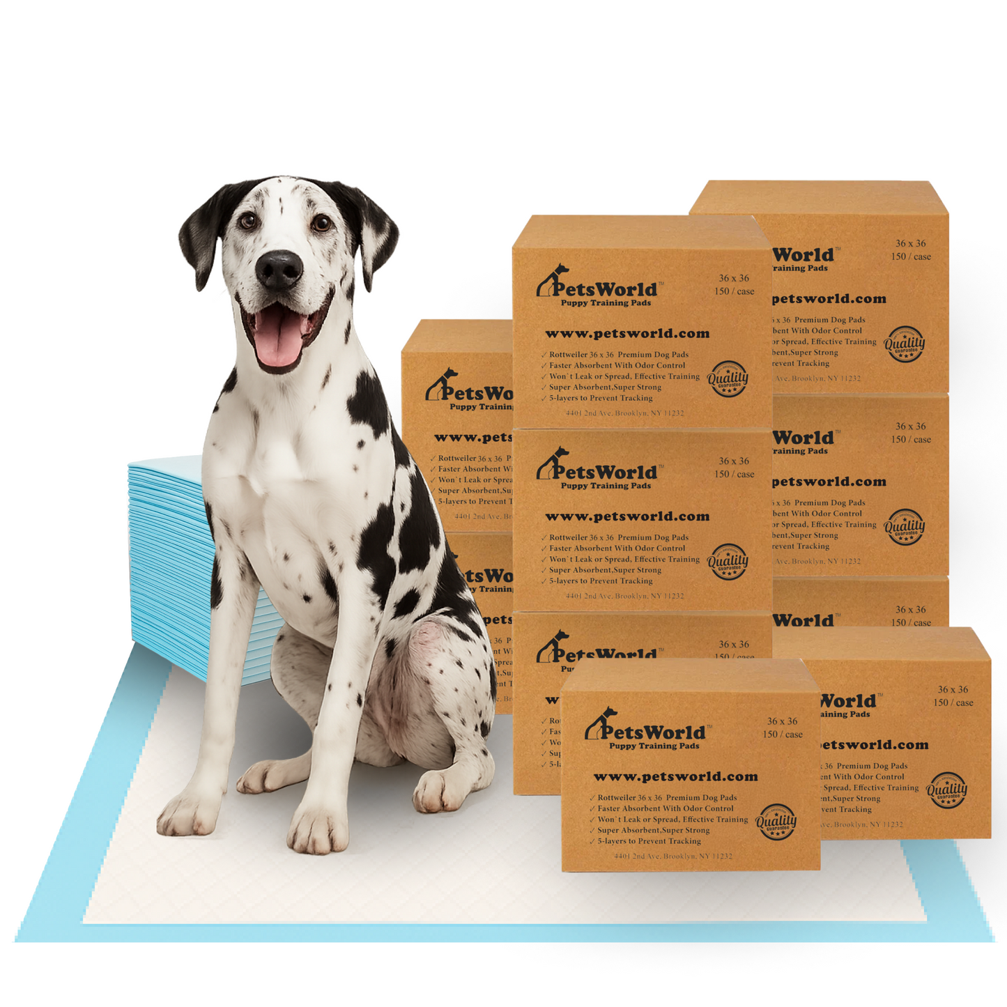 PetsWorld Gigantic (36x36 inch) Dog Training & Potty Pads_1500 Count