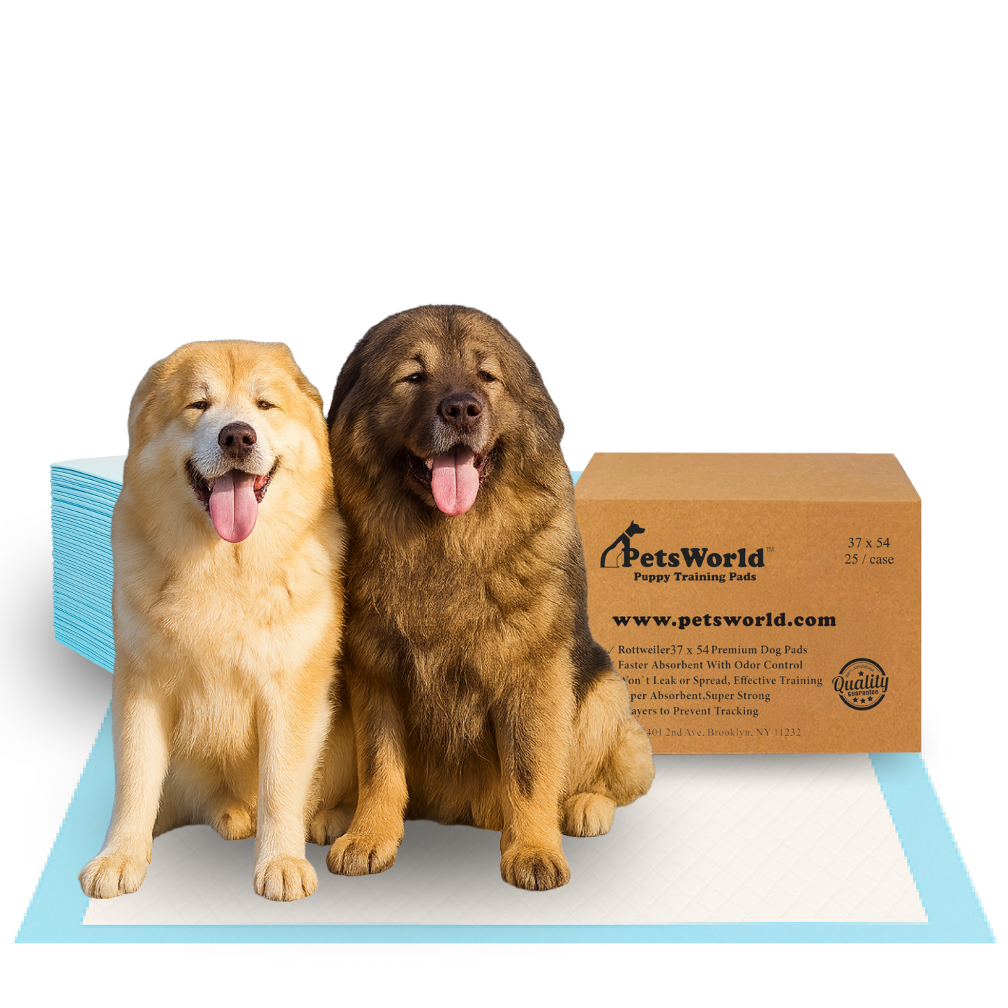 PetsWorld 3XL (37x54 inch) Dog Training & Potty Pads_