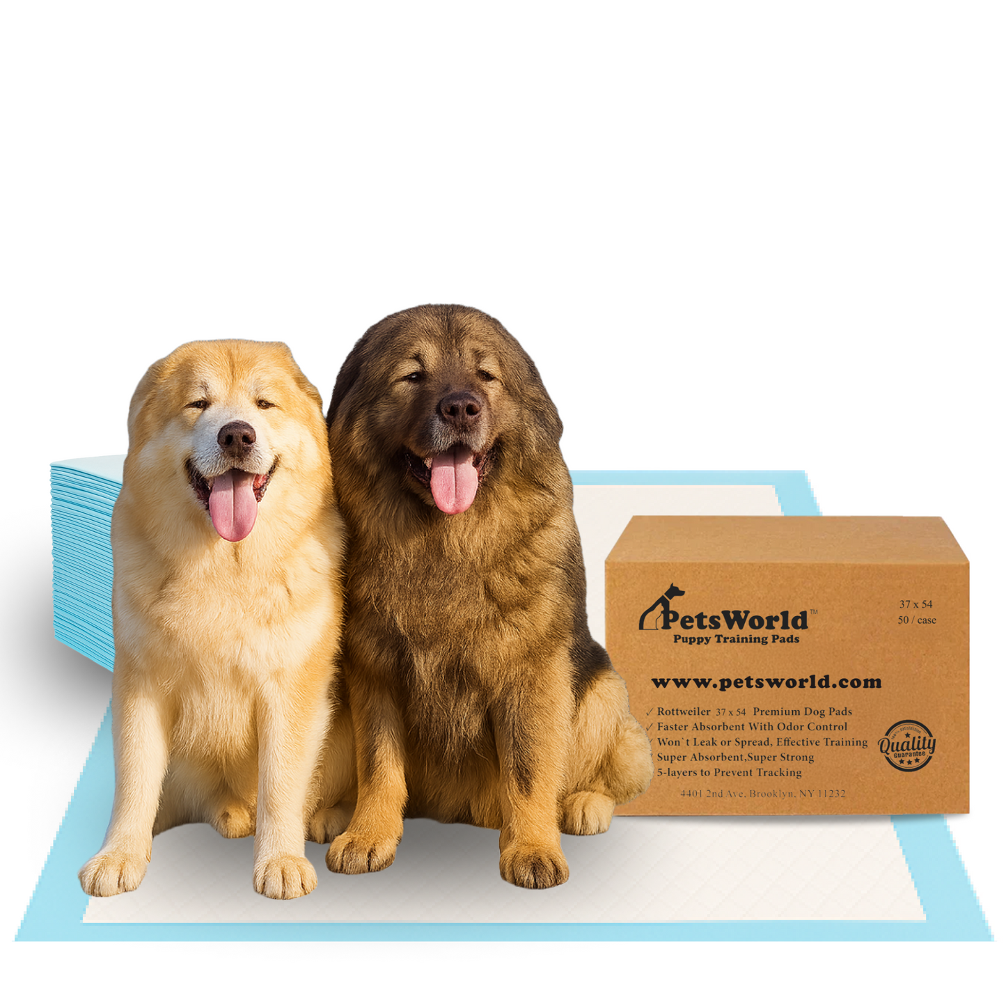 PetsWorld 3XL (37x54 inch) Dog Training & Potty Pads_50 Count