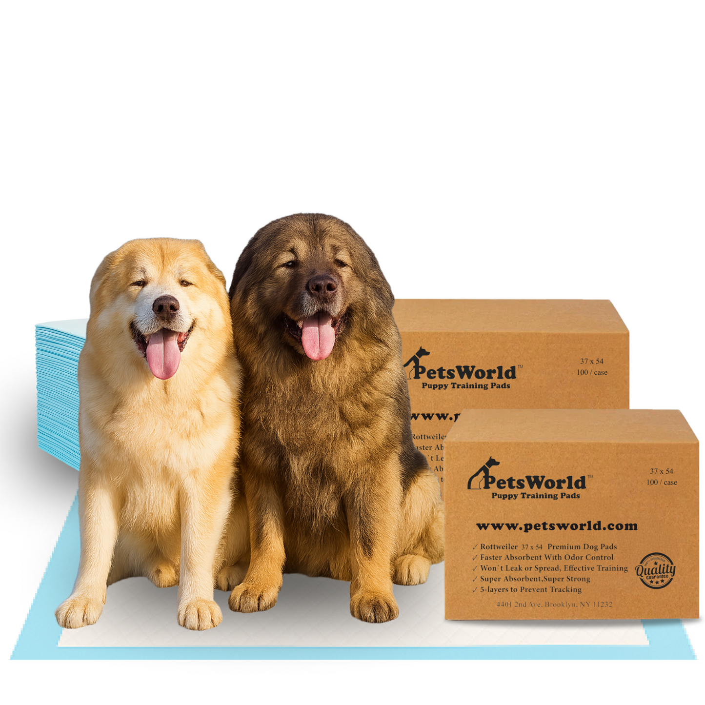 PetsWorld 3XL (37x54 inch) Dog Training & Potty Pads_200 Count