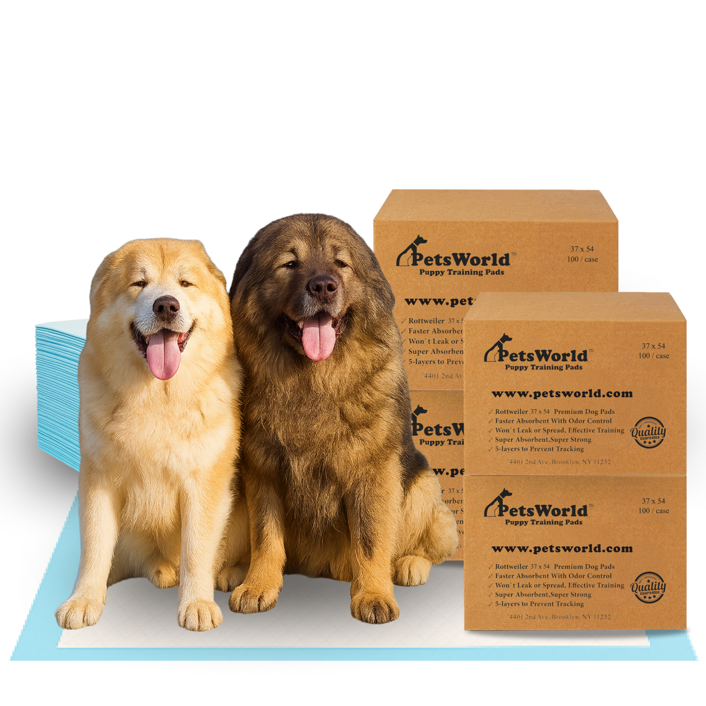 PetsWorld 3XL (37x54 inch) Dog Training & Potty Pads_400 Count