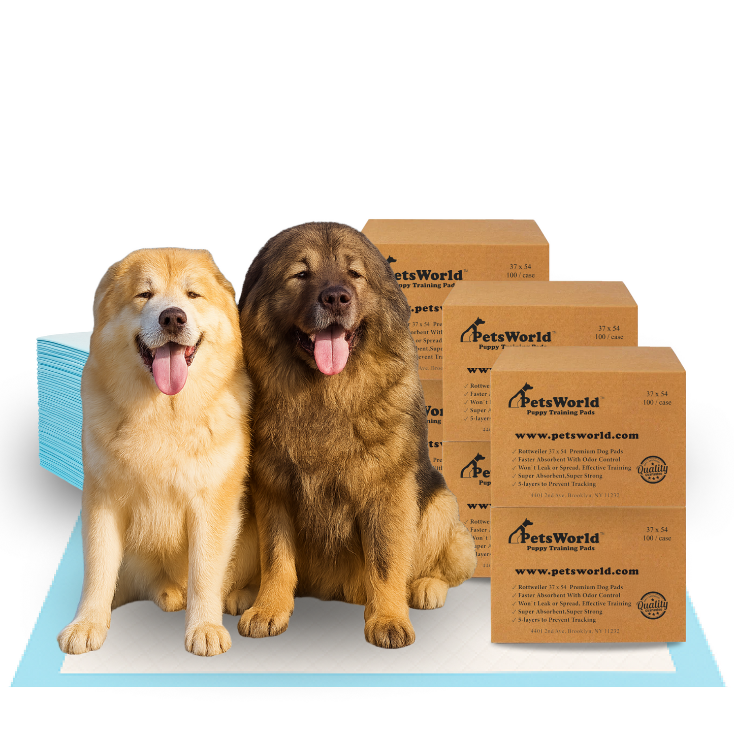 PetsWorld 3XL (37x54 inch) Dog Training & Potty Pads_600 Count