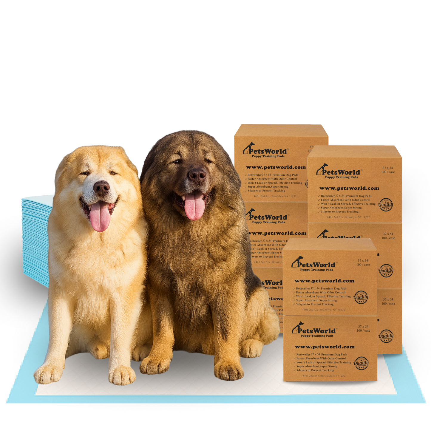 PetsWorld 3XL (37x54 inch) Dog Training & Potty Pads_800 Count