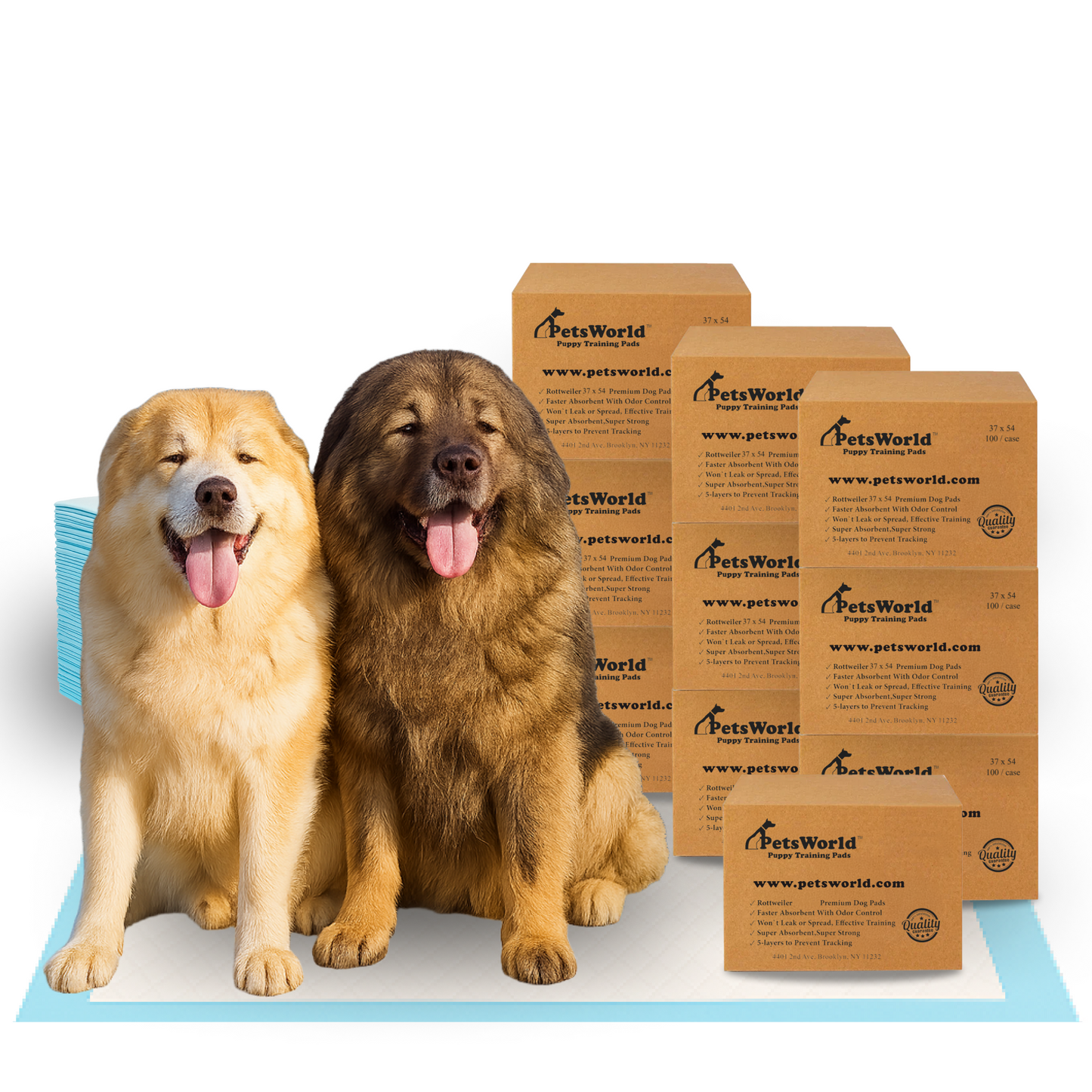 PetsWorld 3XL (37x54 inch) Dog Training & Potty Pads_1000 Count