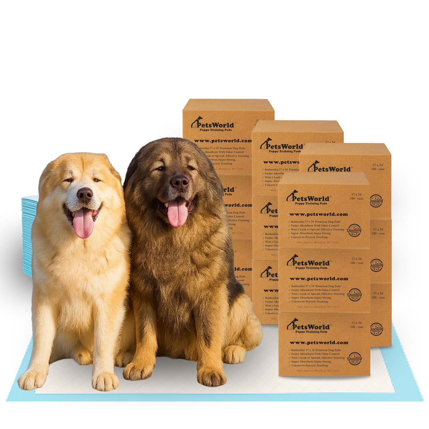 PetsWorld 3XL (37x54 inch) Dog Training & Potty Pads_1200 Count