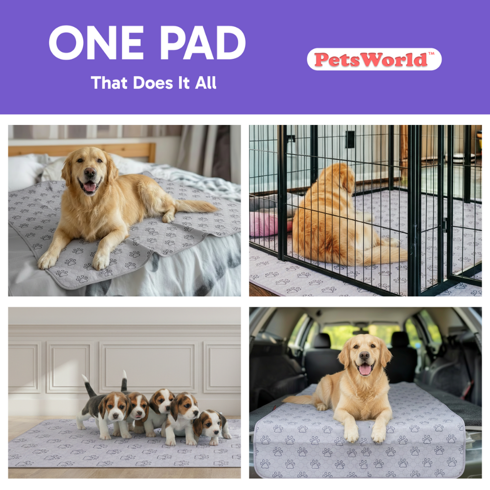 Washable Dog Potty Pads, Unscented_2 Count / 34 x 52-in