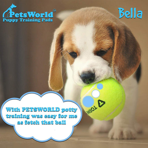 PetsWorld Economy Value (23x36 inch) Puppy Training & Potty Pads_