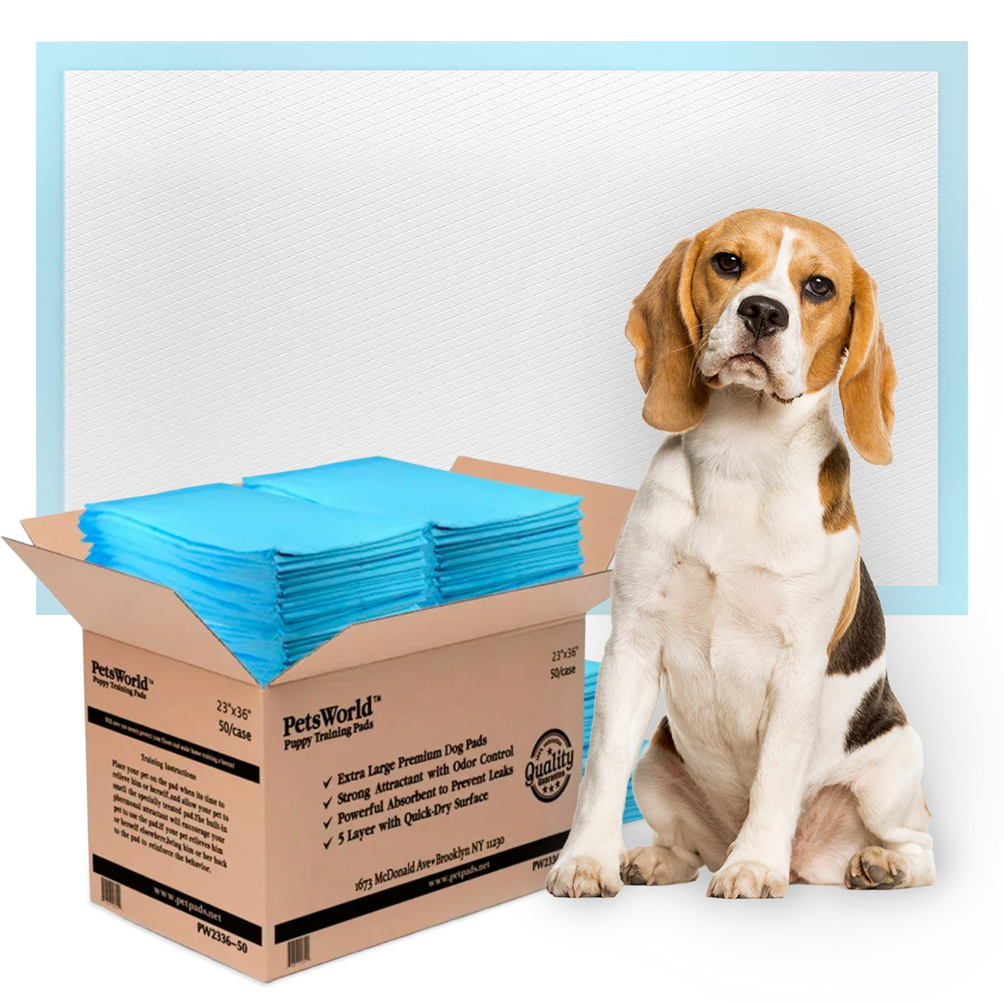 PetsWorld Economy Value (23x36 inch) Puppy Training & Potty Pads_50 Count