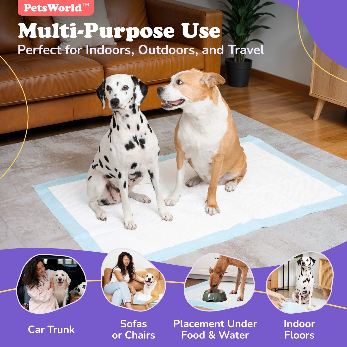PetsWorld 3XL (37x54 inch) Dog Training & Potty Pads_