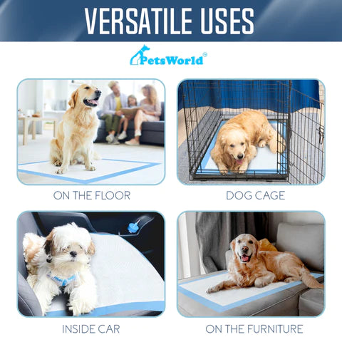 Wholesale Gigantic Dog Training & Potty Pads (36x36 inch)_