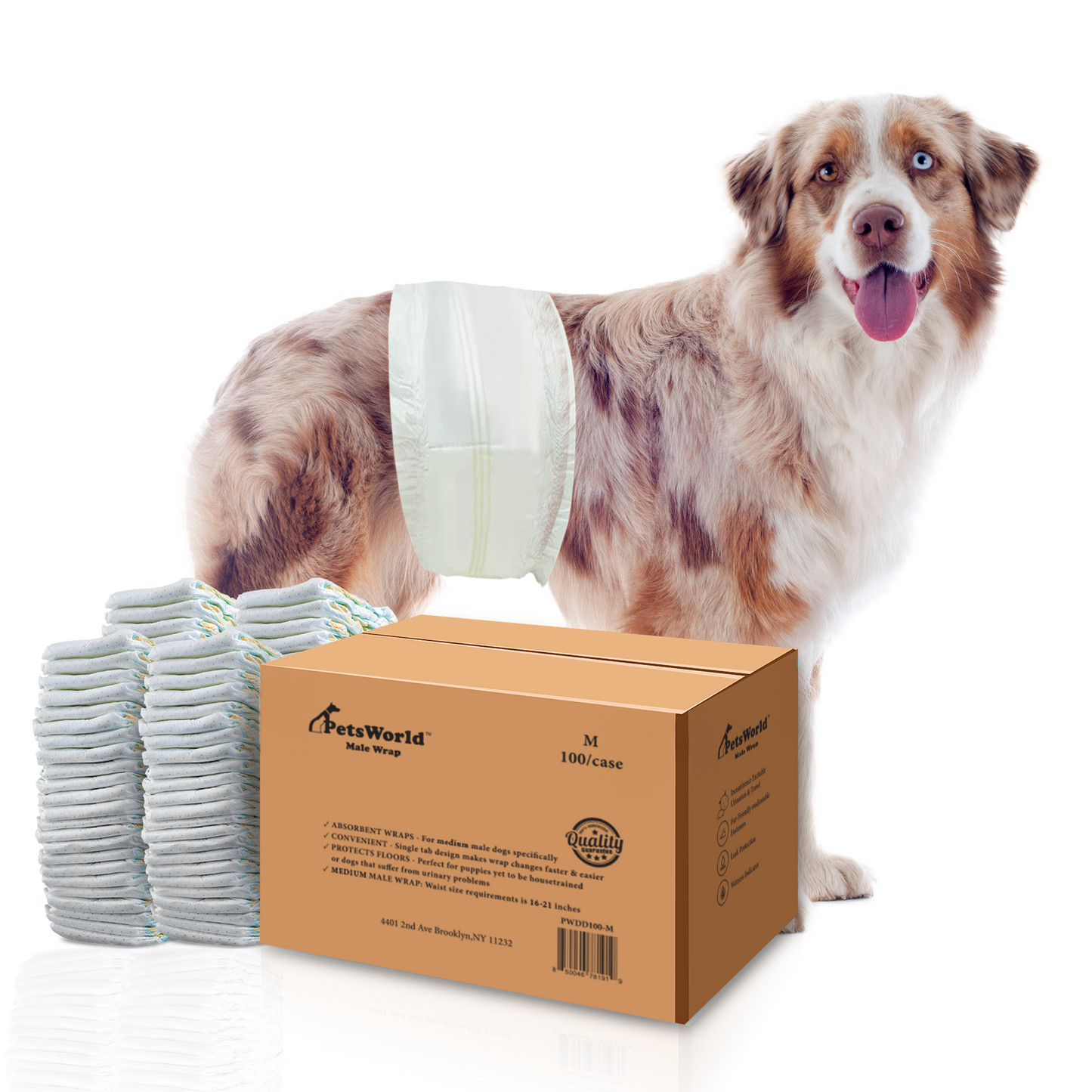 PetsWorld Dog Diapers Male - Super Absorbent, Fur-Friendly Belly Bands_100 Count / Medium