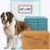 PetsWorld 4XL (40x99 inch) Dog Training & Potty Pads product image