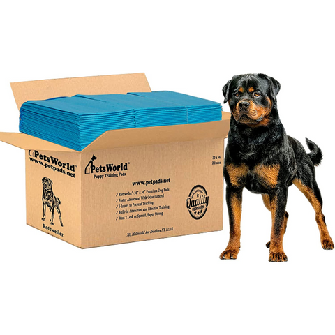 PetsWorld Extra Large (30x36 inch) Dog Training & Potty Pads_20 Count