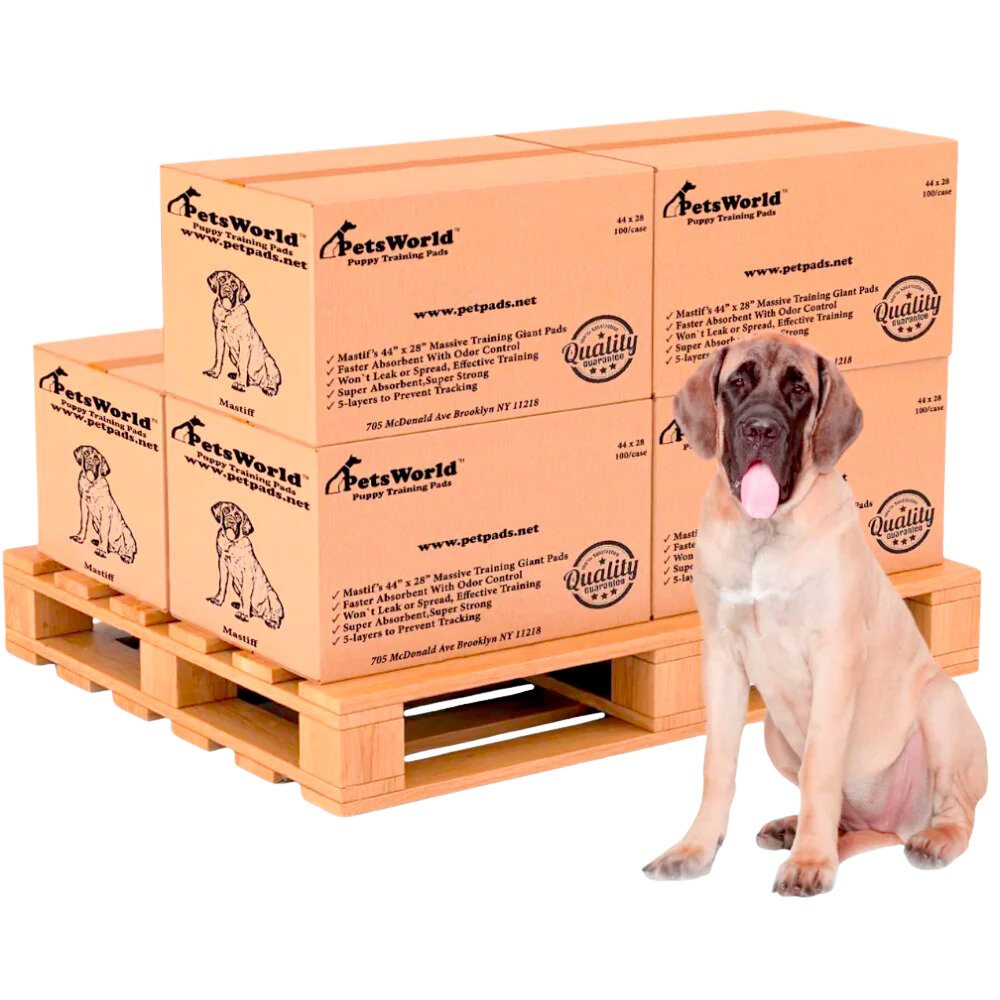 Wholesale Massive (28x44 inch) Dog Training Pads & Potty Pads