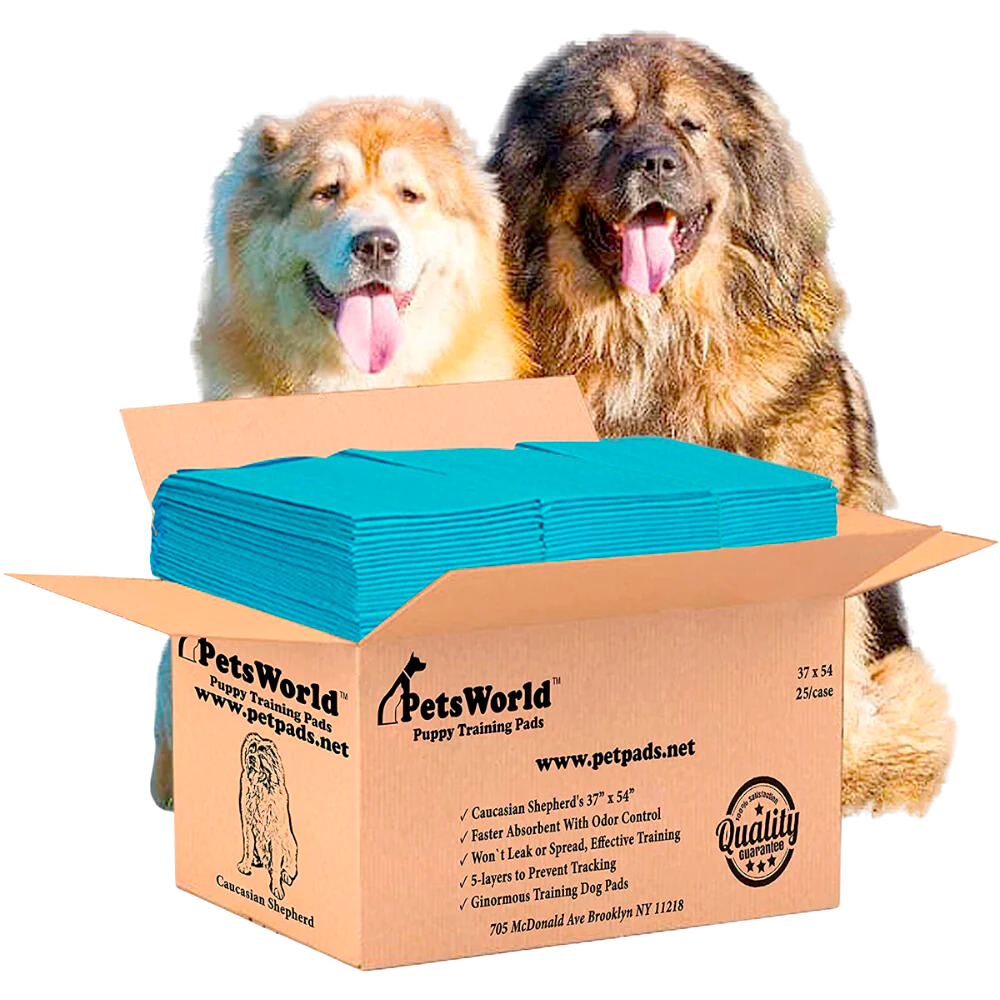 Pee pad box online