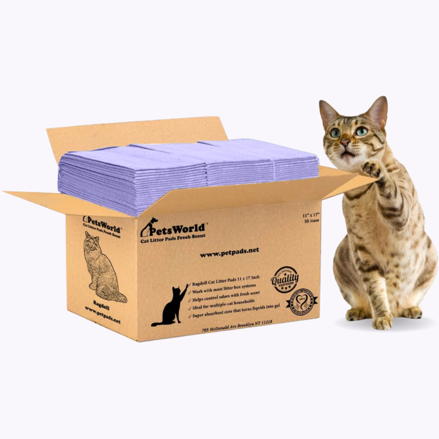 PetsWorld Cat Litter Pads for Litter Box_50 Count / Unscented
