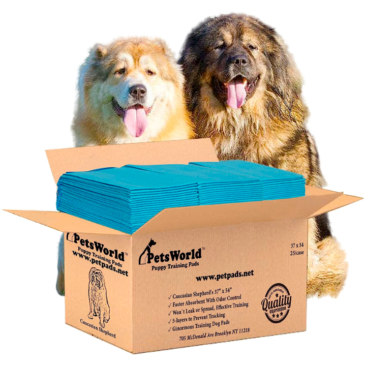 Leak proof dog 2024 pads