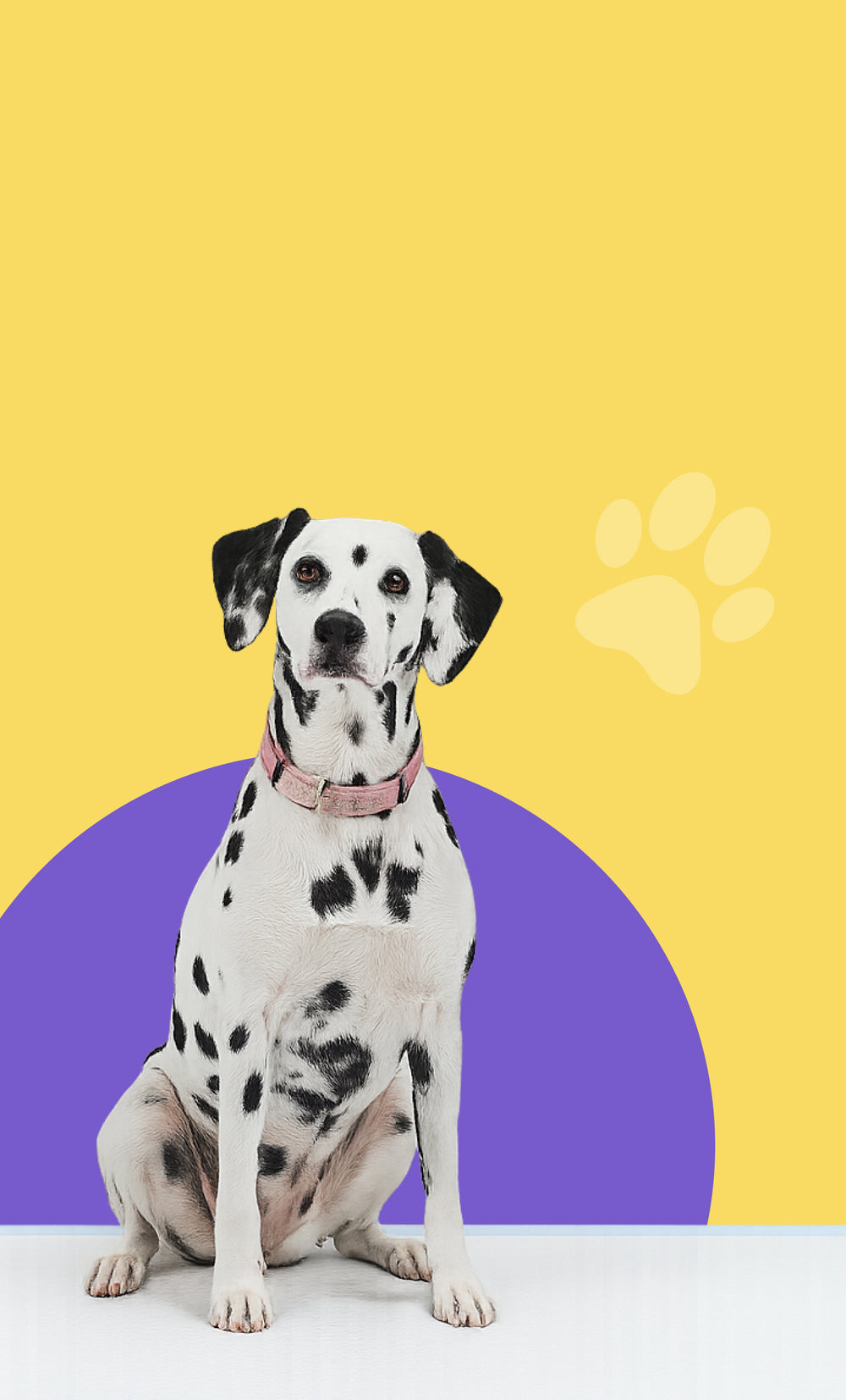 reward-banner-image
