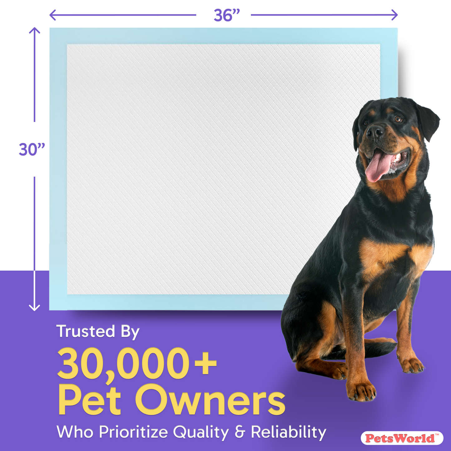 PetsWorld Extra Large (30x36 inch) Dog Training & Potty Pads_