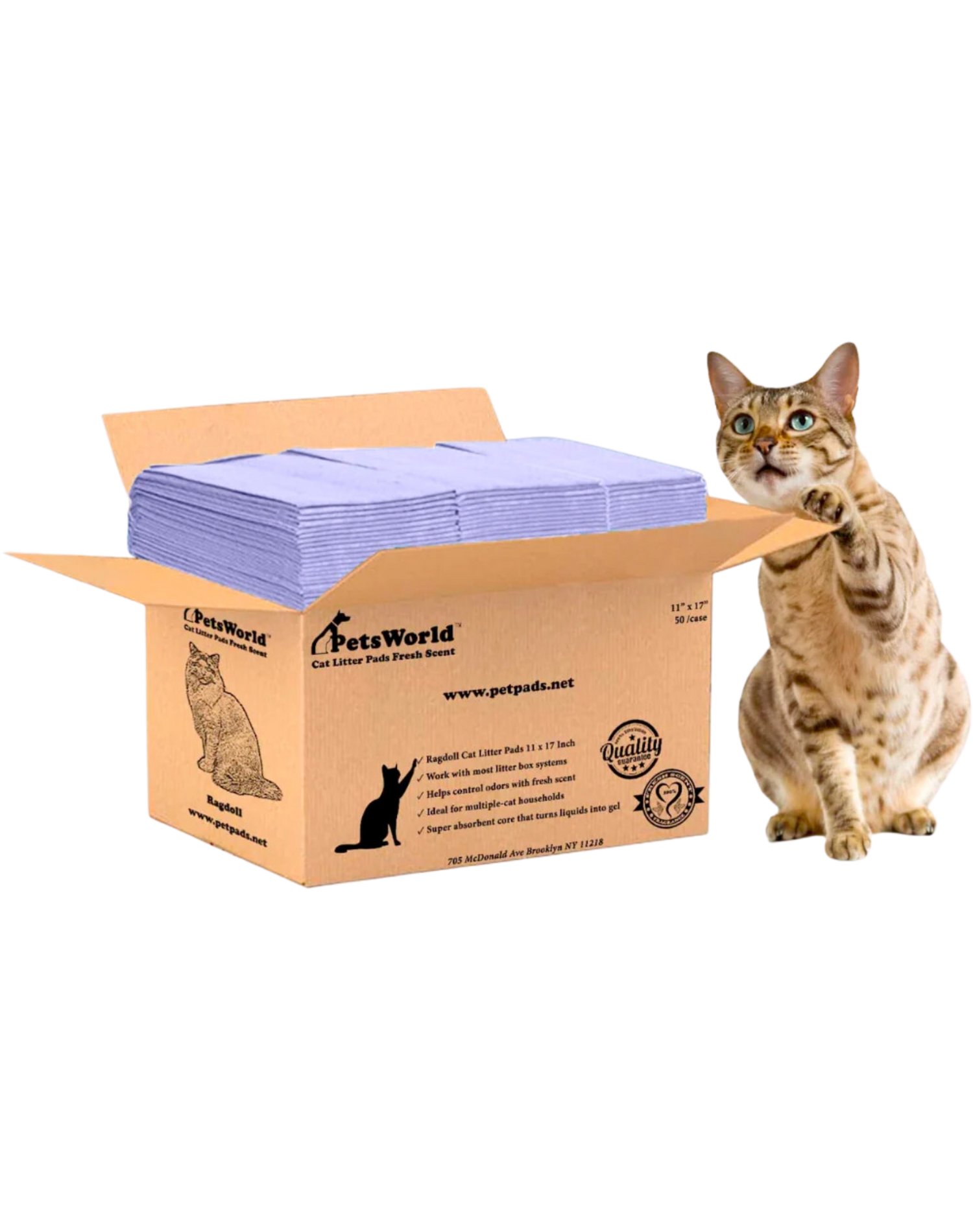 Cat Litter Pads & Accessories