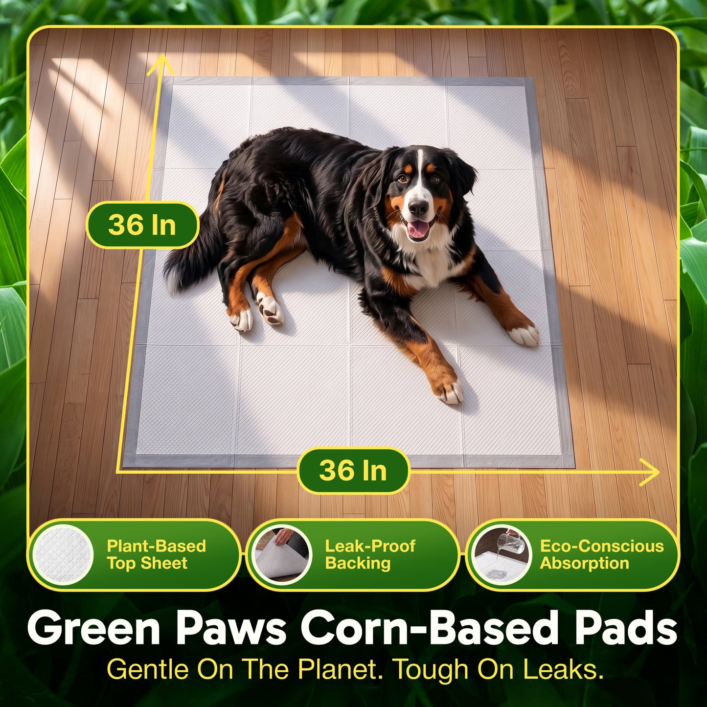 GreenPaws™ Gigantic (36x36 inch) Premium Corn-Based Eco Conscious Dog Pads
