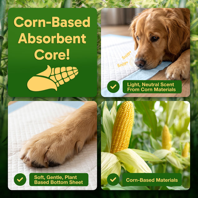 GreenPaws™ Gigantic (36x36 inch) Premium Corn-Based Eco Conscious Dog Pads_