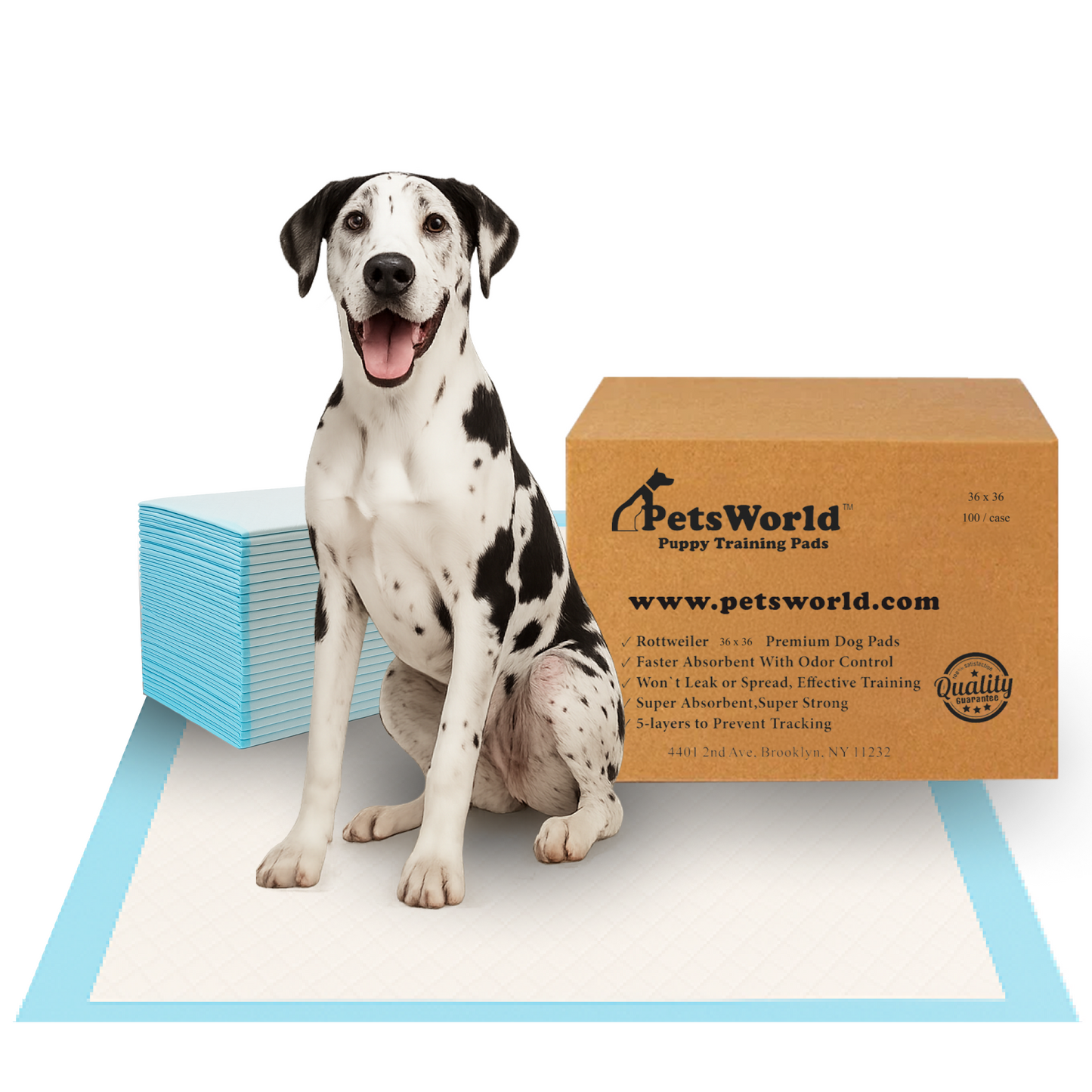 PetsWorld Gigantic (36x36 inch) Dog Training & Potty Pads_100 Count