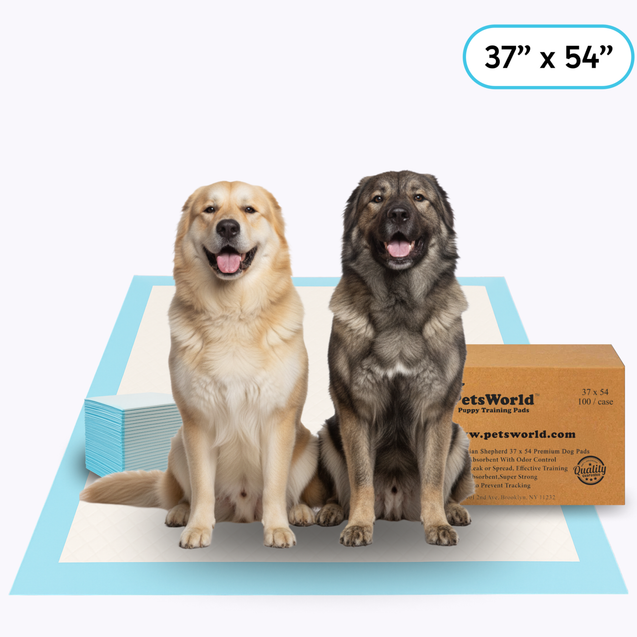 PetsWorld 3XL (37x54 inch) Dog Training & Potty Pads_100 Count