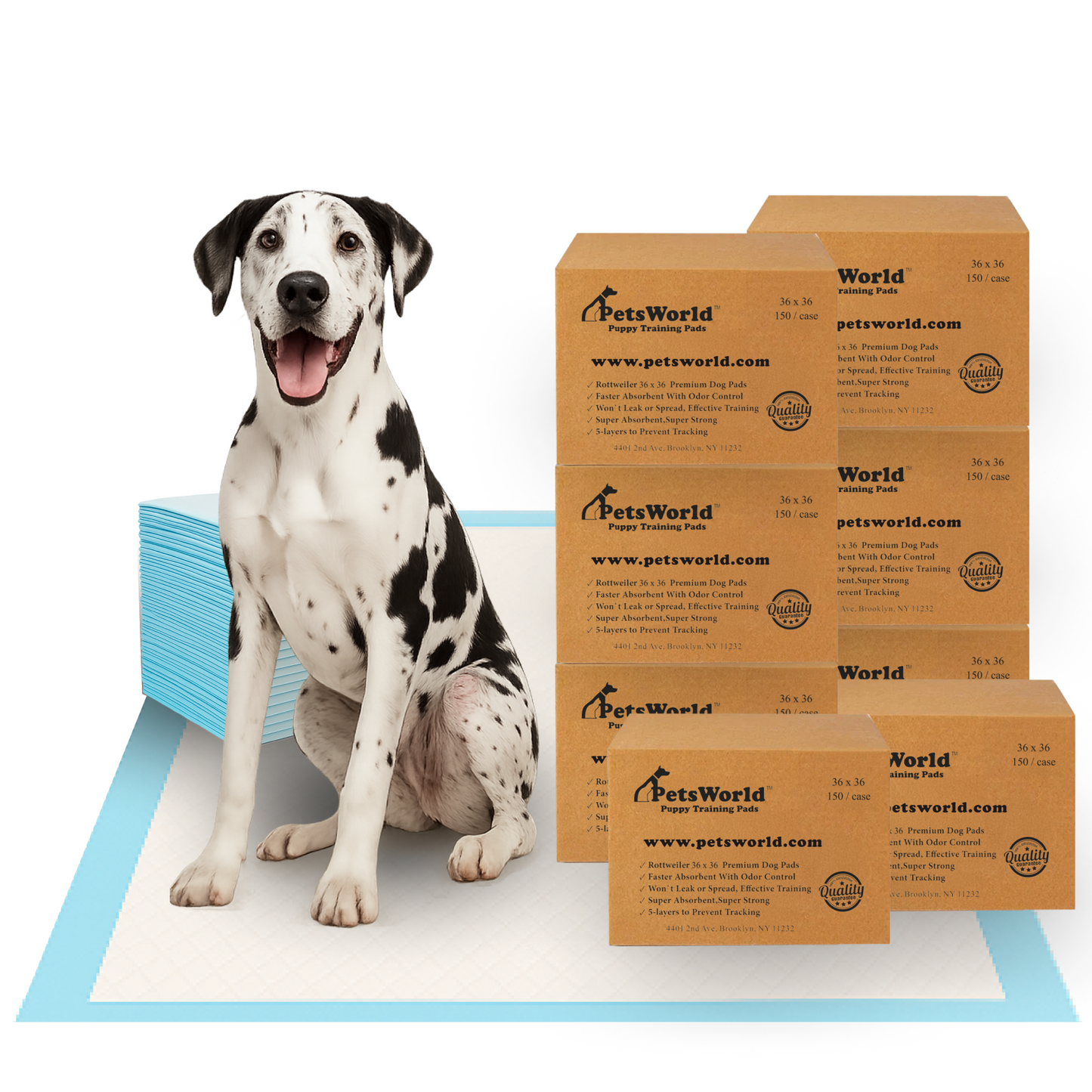 PetsWorld Gigantic (36x36 inch) Dog Training & Potty Pads_1200 Count