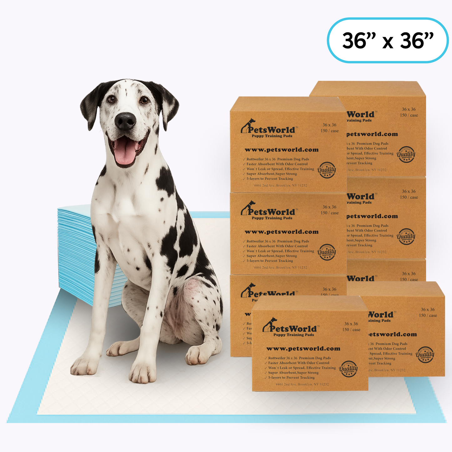 Wholesale Gigantic (36x36 inch) Dog Training & Potty Pads_1200 Count