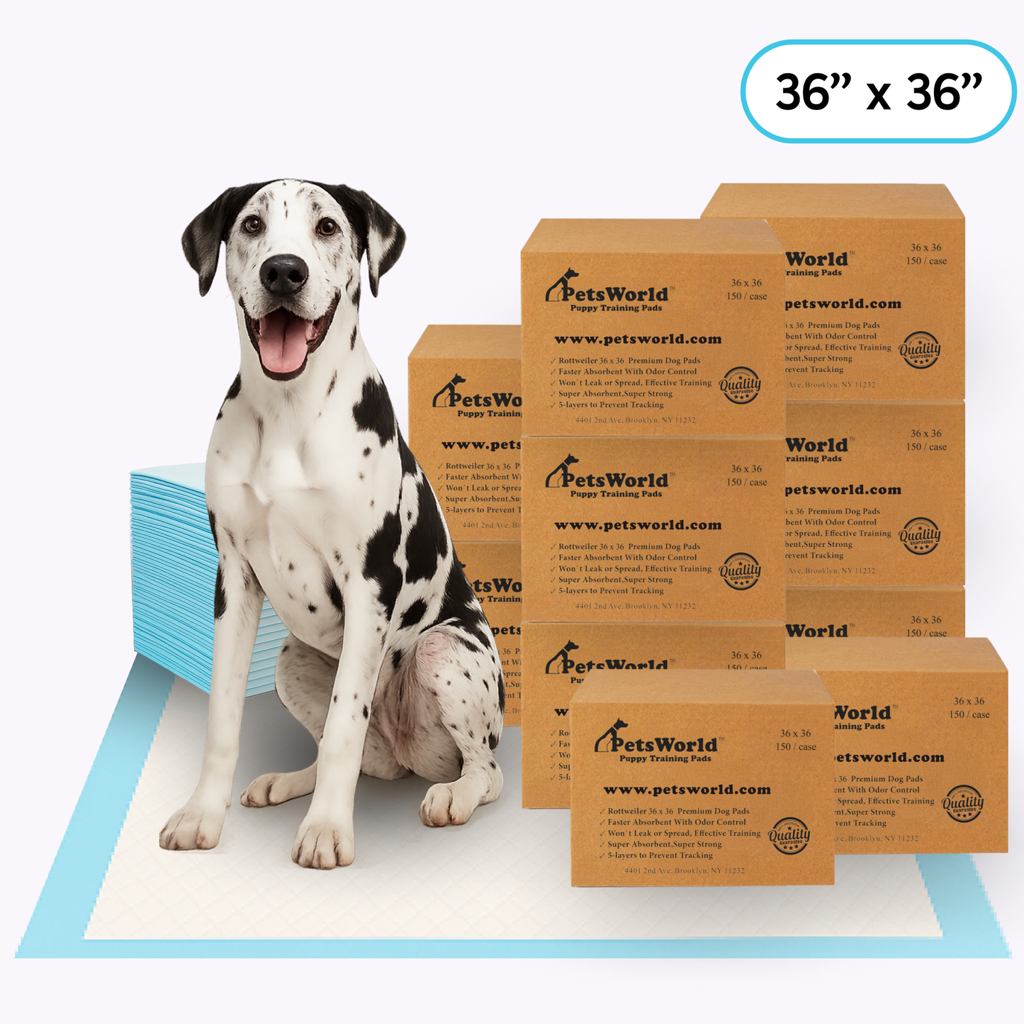 Wholesale Gigantic (36x36 inch) Dog Training & Potty Pads_1500 Count
