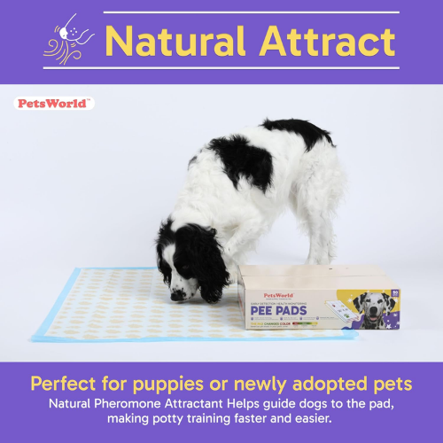 PetsWorld NEW 3XL (37x54 inch) Health Monitoring Dog Pee Pads_