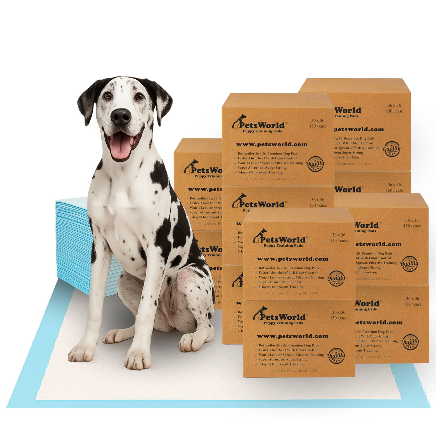PetsWorld Gigantic (36x36 inch) Dog Training & Potty Pads_1800 Count