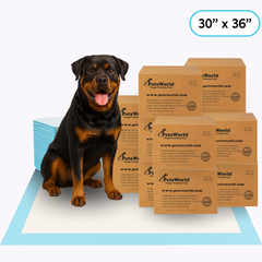 Wholesale Extra Large (30x36 inch) Dog Training & Potty Pads