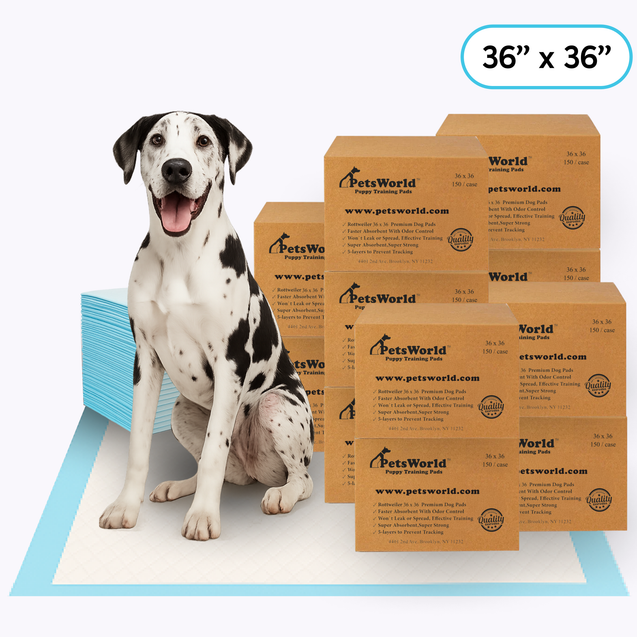 Wholesale Gigantic (36x36 inch) Dog Training & Potty Pads_1800 Count