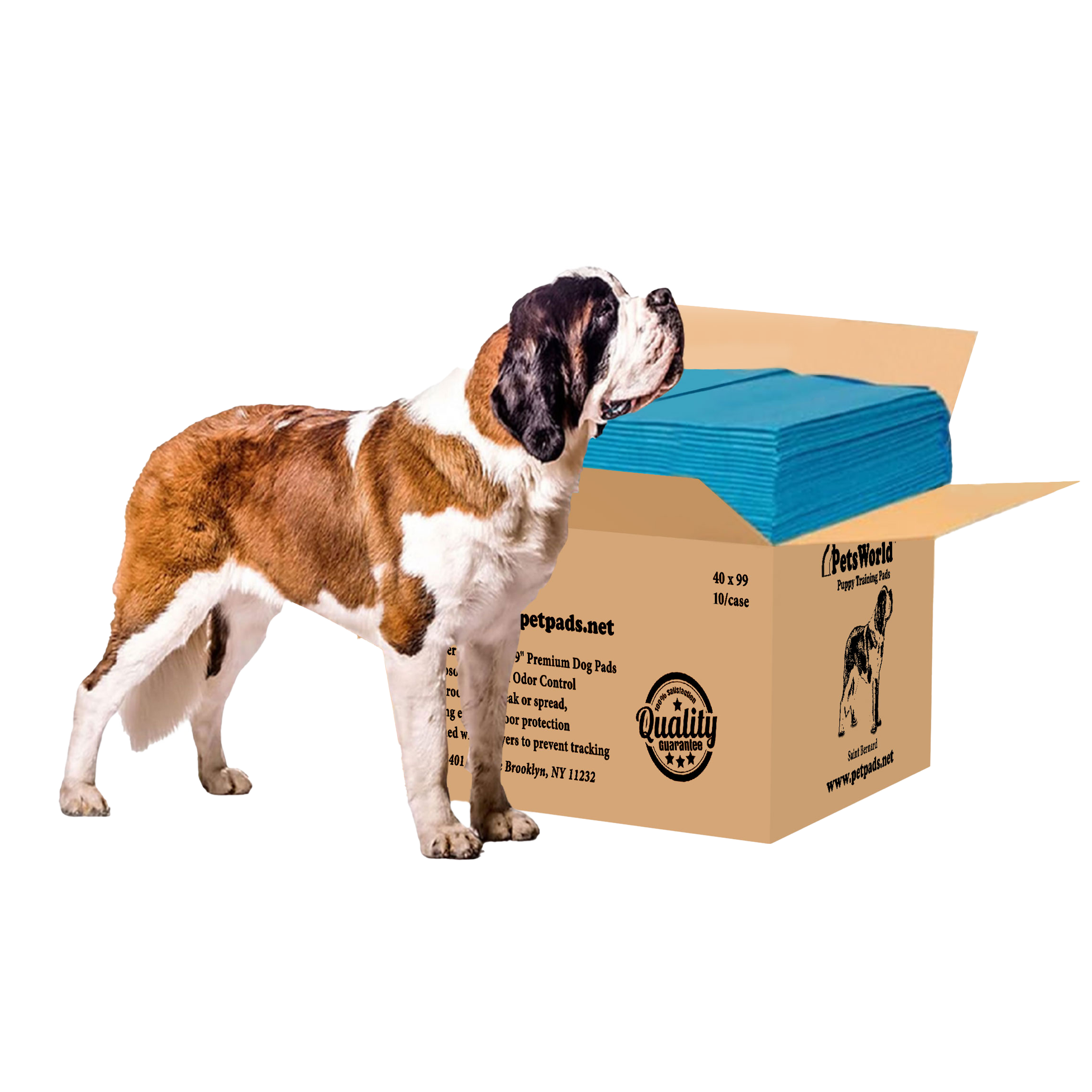 PetsWorld 4XL (40x99 inch) Dog Training & Potty Pads Pads_10 Count