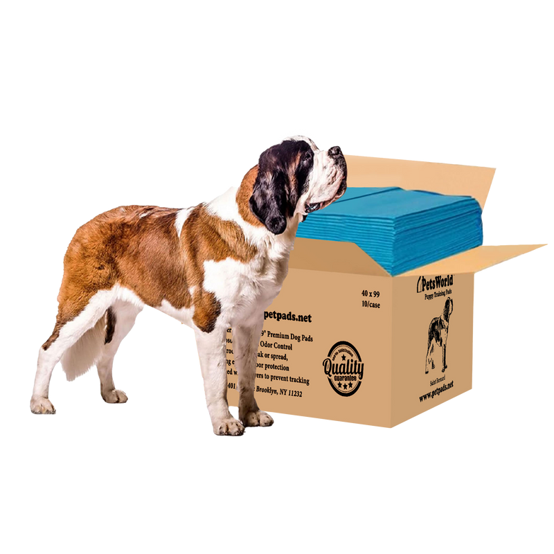 PetsWorld 4XL (40x99 inch) Dog Training & Potty Pads Pads