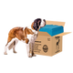 PetsWorld 4XL (40x99 inch) Dog Training & Potty Pads Pads_10 Count