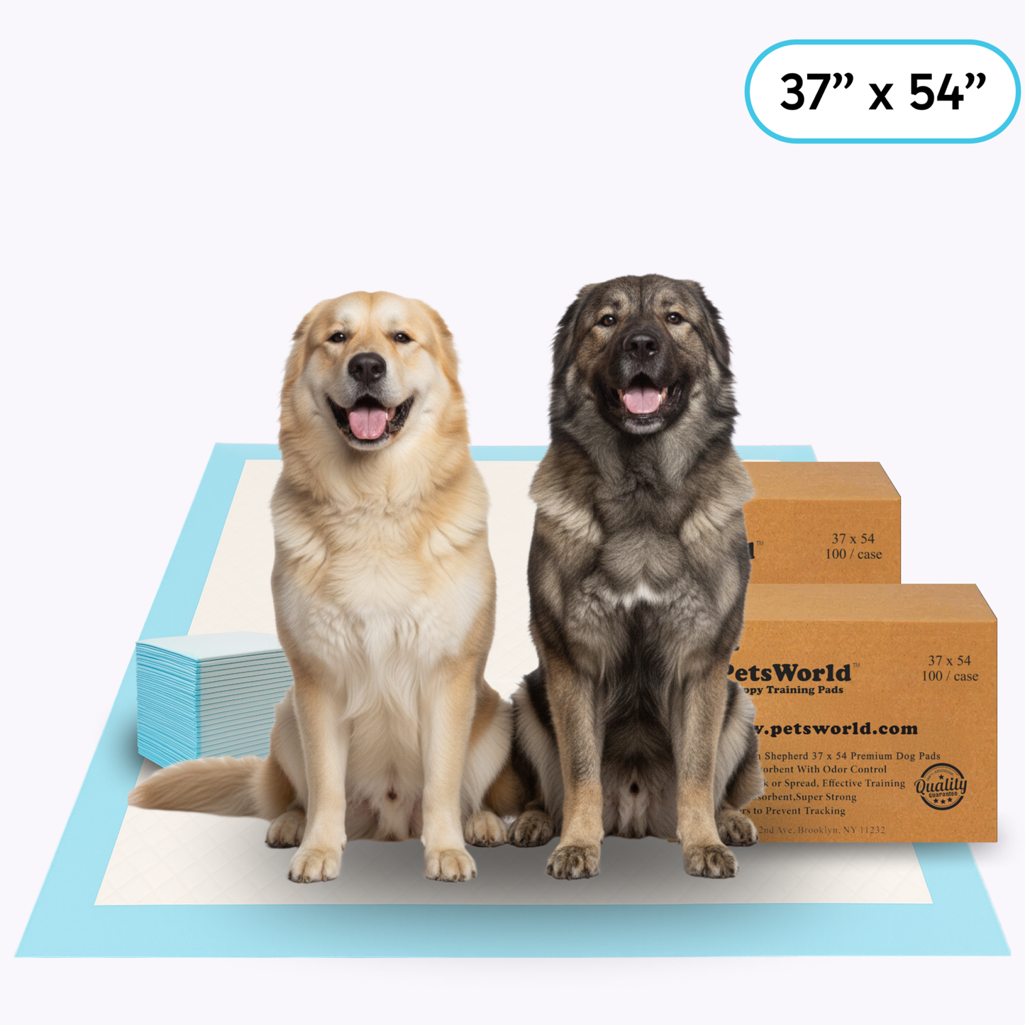 PetsWorld 3XL (37x54 inch) Dog Training & Potty Pads_200 Count