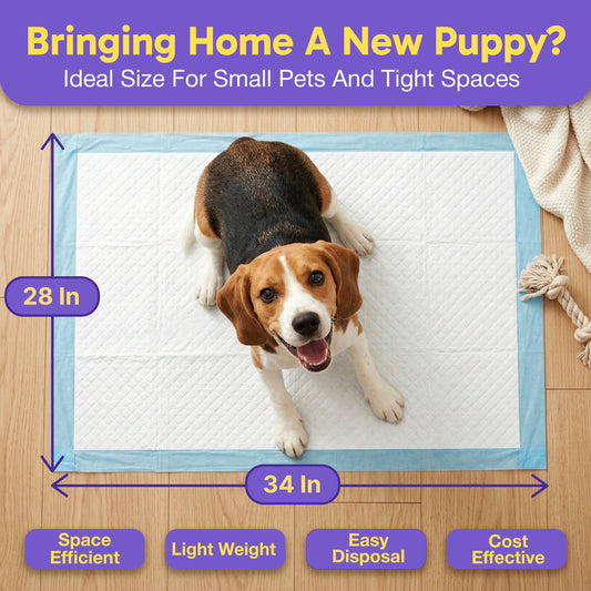 Economy Value (28x34 inch) Puppy Training & Potty Pads