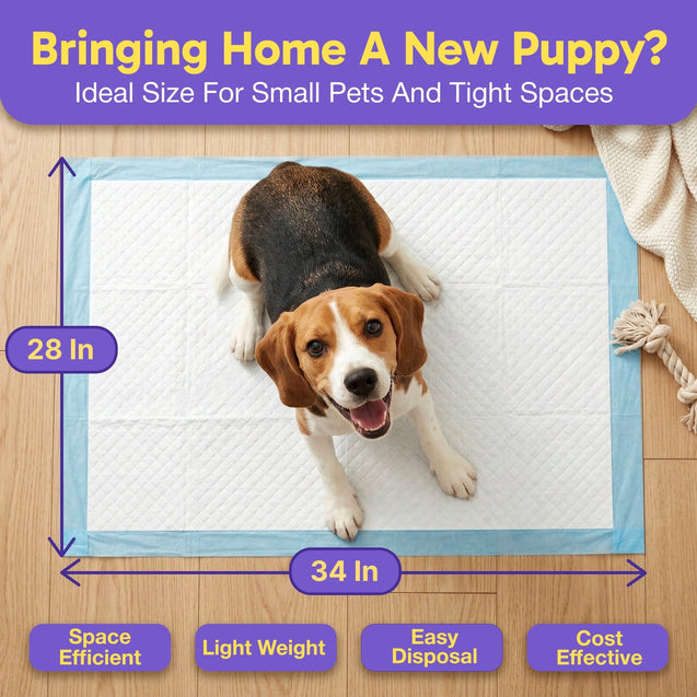 Economy Value (28x34 inch) Puppy Training & Potty Pads