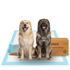 Cleaning & Potty image