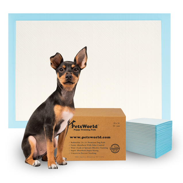 PetsWorld Economy Value (28x34 inch) Puppy Training & Potty Pads_