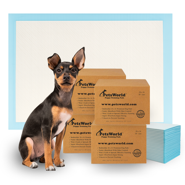 PetsWorld Economy Value (28x34 inch) Puppy Training & Potty Pads_200 Count