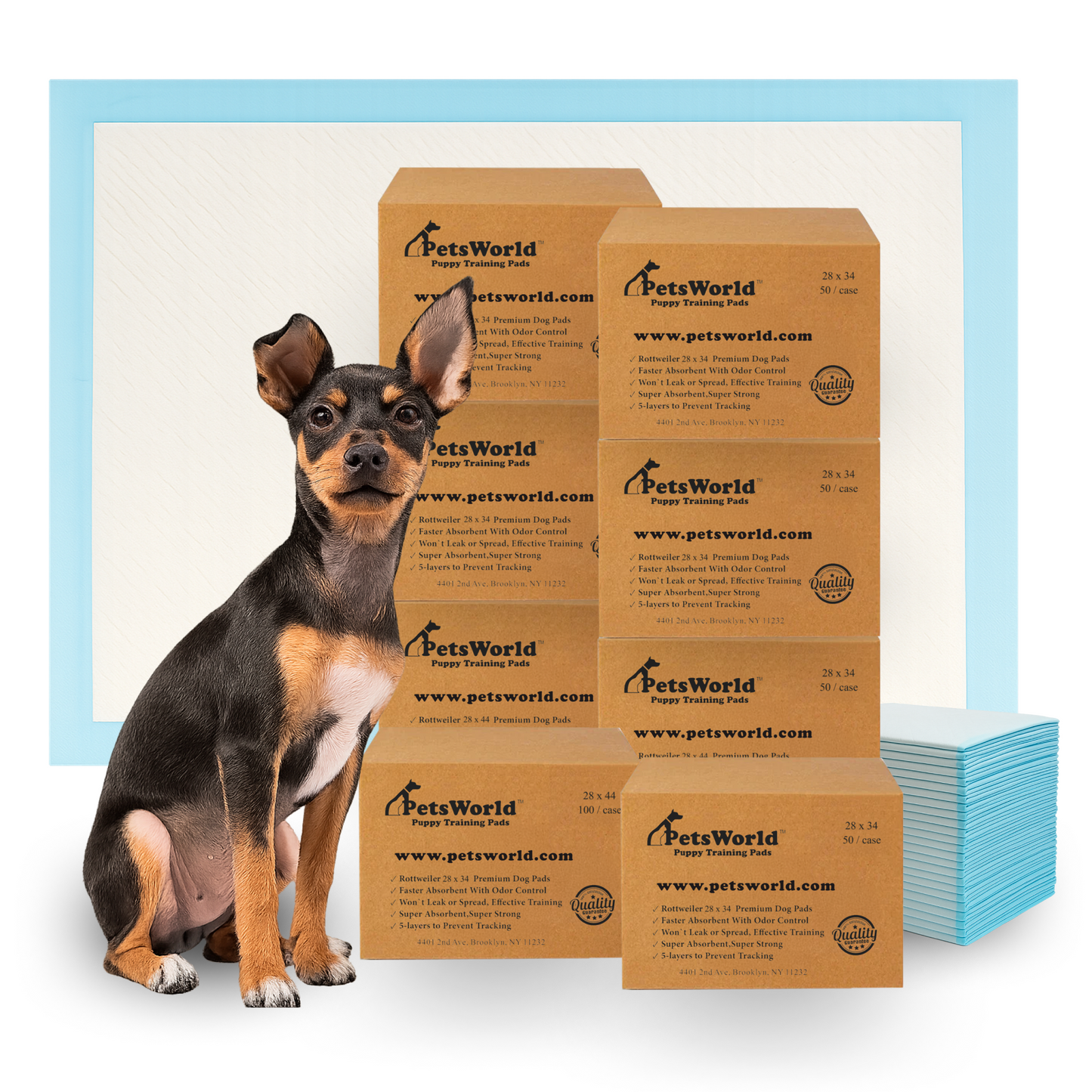PetsWorld Economy Value (28x34 inch) Puppy Training & Potty Pads_400 Count