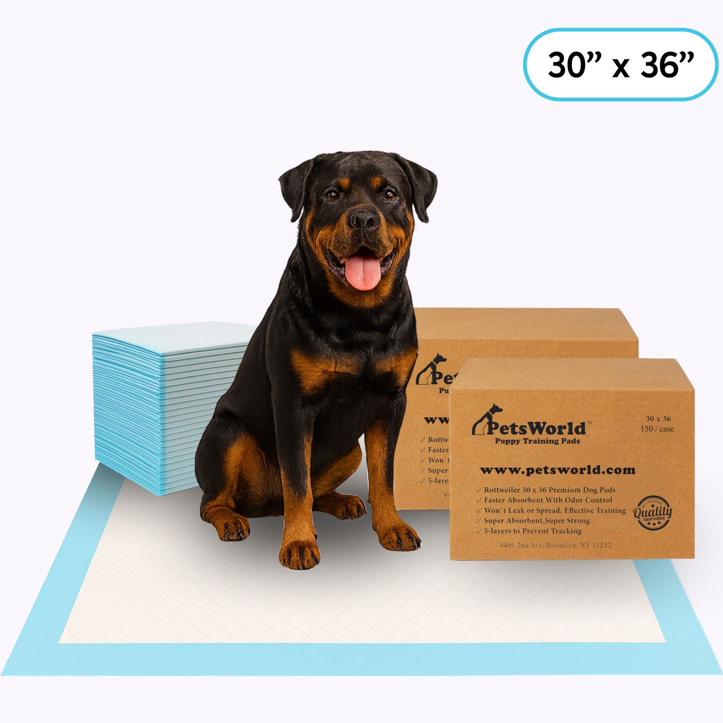 PetsWorld Extra Large (30x36 inch) Dog Training & Potty Pads_300 Count