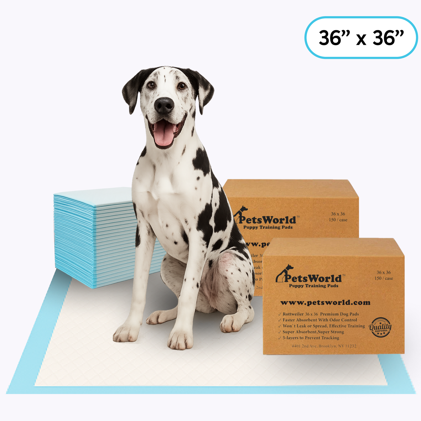 PetsWorld Gigantic (36x36 inch) Dog Training & Potty Pads_300 Count