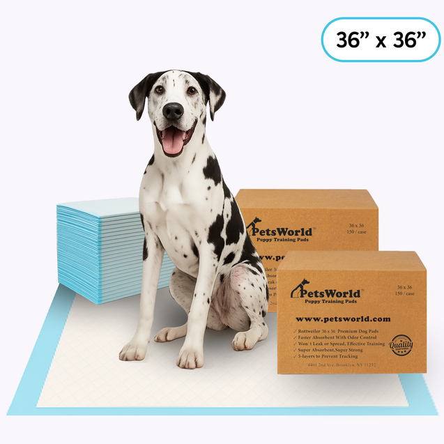 Gigantic (36x36 inch) Dog Training & Potty Pads_300 Count