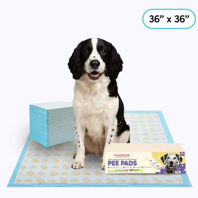 PetsWorld NEW Gigantic (36x36 inch) Health Monitoring Dog Pee Pads_25 Count